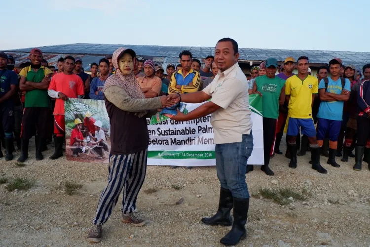 Dari Sawit, Ekonomi Halmahera Selatan Bisa Tumbuh