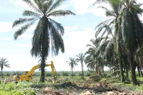 Memoar “Duta Besar” Sawit Indonesia (Bagian CXXVIII)