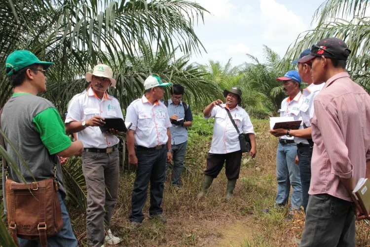 Industri Minyak Sawit Indonesia Menuju 100 Tahun NKRI (Bagian CXCIV)
