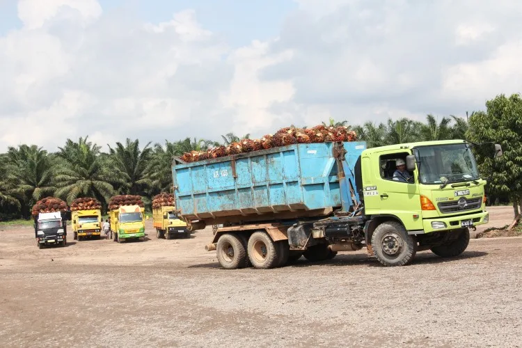 Memoar “Duta Besar” Sawit Indonesia (Bagian CXVIII)