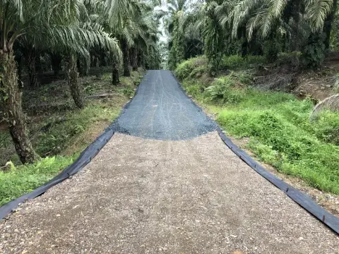 Memoar “Duta Besar” Sawit Indonesia (Bagian CV)