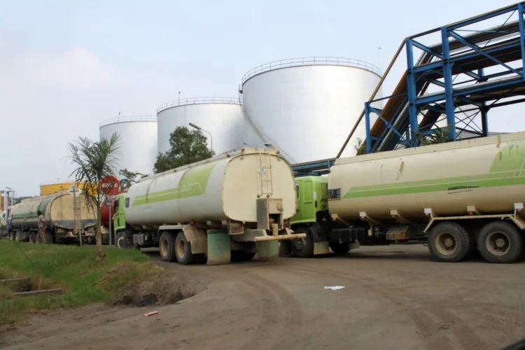 Memoar “Duta Besar” Sawit Indonesia (Bagian XCV)