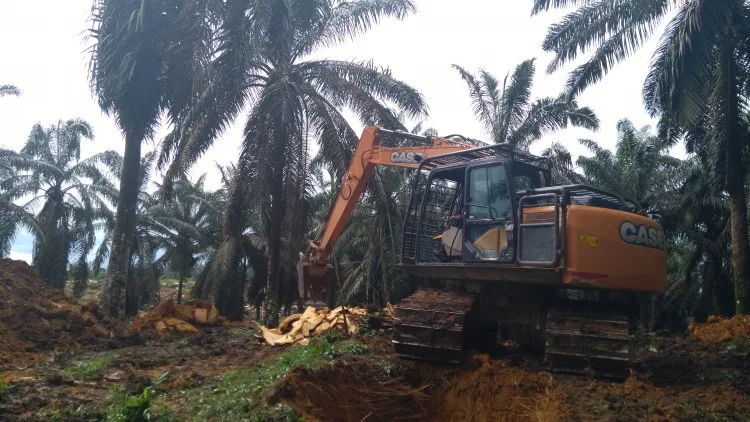 Memoar “Duta Besar” Sawit Indonesia (Bagian CXXXII)