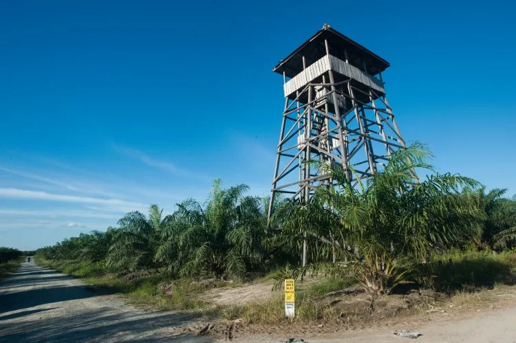 Memoar “Duta Besar” Sawit Indonesia (Bagian CXXIX)