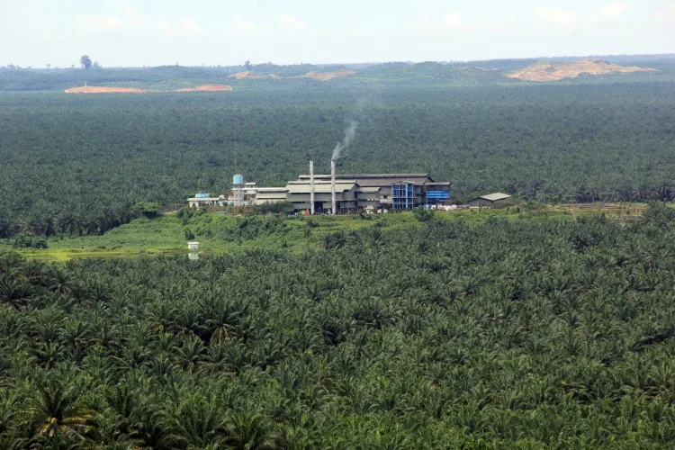 EU Renewable Energy Directive II dan Hambatan Perdagangan