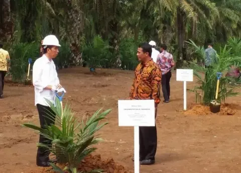 Kementan Dukung Kerjasama Satu Data Sawit Nasional