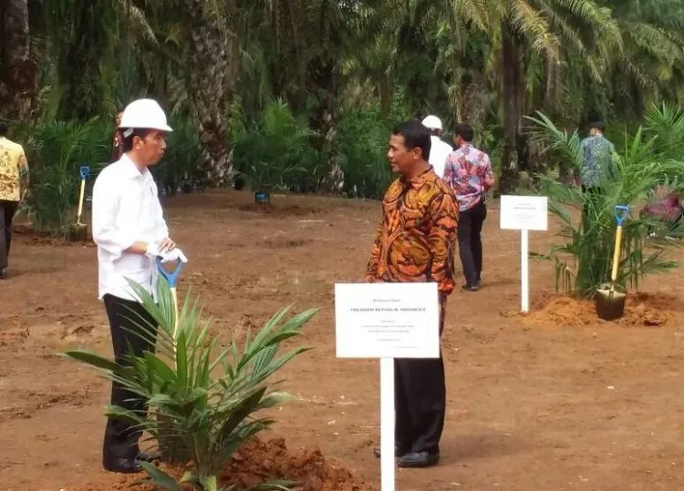 Kementan Dukung Kerjasama Satu Data Sawit Nasional