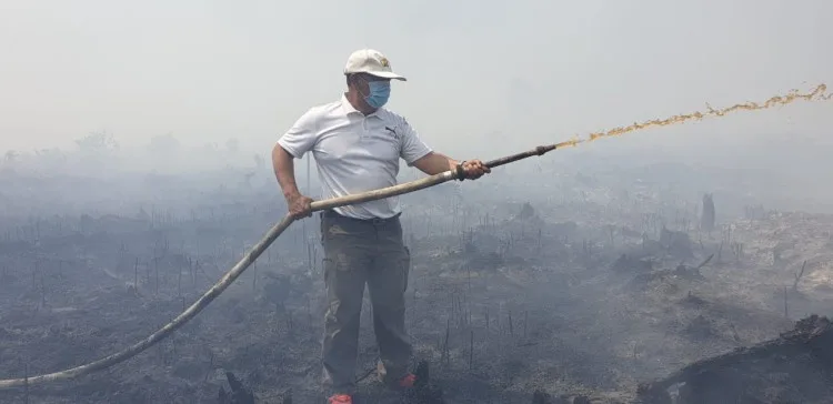 Inilah 5 Arahan APKASINDO Cegah Karhutla
