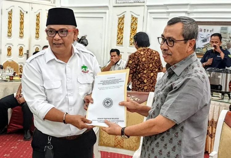 Menggugat Definisi dan Mekanisme Penunjukan Kawasan Hutan