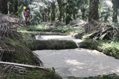 Tanah Harapan Elaeis (Bagian XIX)