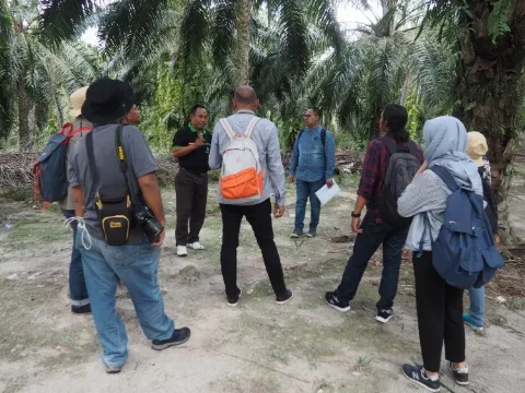 Strategi Pendekatan Yurisdiksi Untuk Percepat Sertifikasi Berkelanjutan