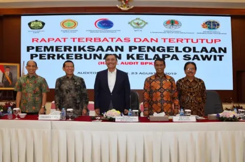 Menko Luhut: Persoalan Sawit Sekarang, Kesalahan 25 Tahun lalu