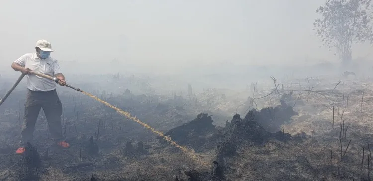 Petani Juga Korban, Jangan Asal Tuduh Sebagai Pelaku Karhutla