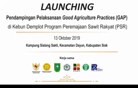 Besok, Kebun Sawit PSR Berstandar GAP Akan Diluncurkan