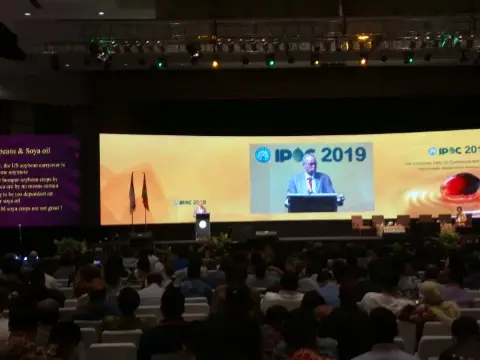 IPOC Ditutup, Harga CPO Optimis US0-US0