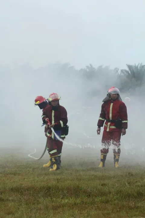 Planter Sawit Galau Karena Karhutla