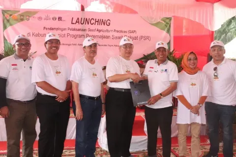 Penyaluran Dana PSR Capai Rp 1,7 Triliun