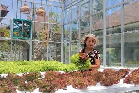 Wina Tannaty, Pemilik Tara Green Hydroponic Farm and Cafe