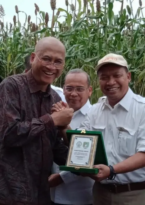 GAPKI dan Paya Pinang Inisiasi Sorgum Sebagai Tanaman Sela Program Peremajaan