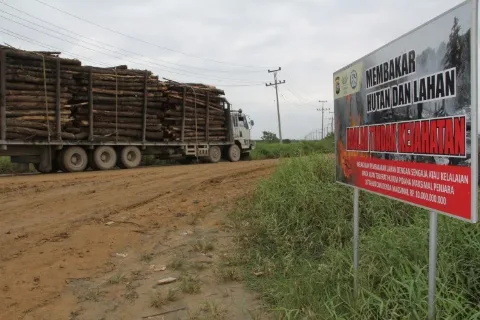 Menepis Tuduhan Sawit Biang Keladi Jerebu