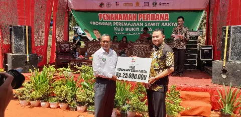 Peremajaan Sawit Rakyat Kian Meluas