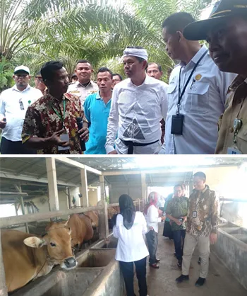 Komisi IV DPR Apresiasi Inovasi Balitbang Kementan Dalam Integrasi Sawit-Sapi