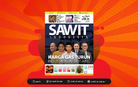 Gas Untuk Industri Nasional
