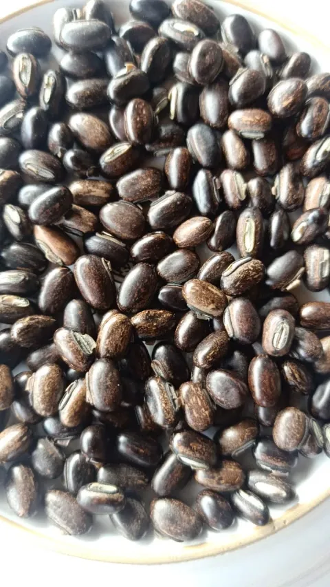 Agro Tunasunggul Konsisten Menjaga Kualitas Benih Kacangan