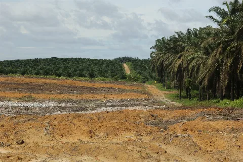 PSR Jangkau Petani Dari Sabang Sampai Merauke