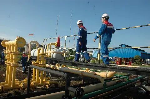 President Jokowi Calls for Evaluation to Industries Receiving Incentives