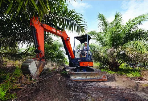 Excavator Hitachi Andalan di Perkebunan Sawit