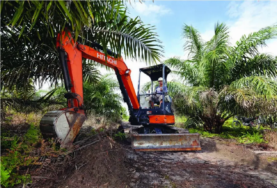 Excavator Hitachi Andalan di Perkebunan Sawit
