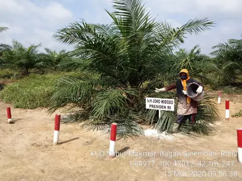 Petani Tagih Janji Presiden Jokowi Melalui RPP Kehutanan