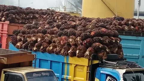 Beroperasi Normal, Industri Sawit Perketat Protokol Kesehatan