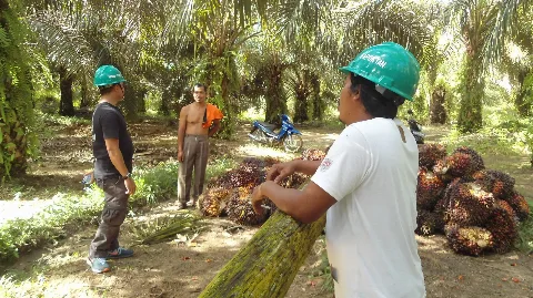 Petani Minta Hambatan  PSR Diselesaikan