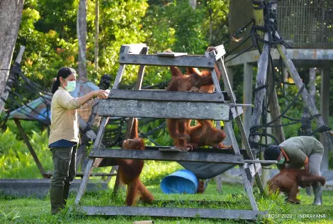 Cegah Covid 19, Minamas Plantation Serahkan  Bantuan Kepada BOS Foundation