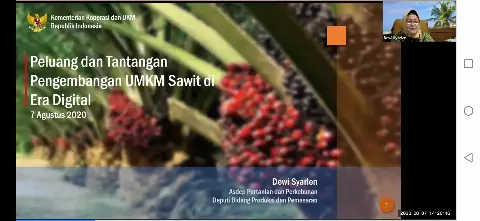 Kemenkop UKM: Sawit Paling Tangguh Hadapi Dampak Covid-19