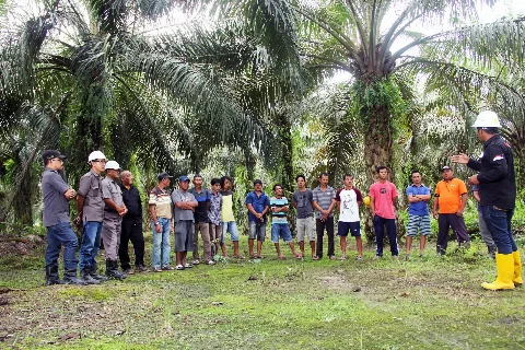 PSR Bukan Sekedar Mengganti Tanaman Baru Tetapi Menjadikan Petani Naik Kelas