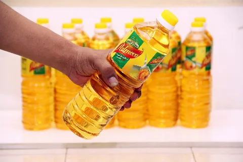 Investasi SBE Berpeluang Tingkatkan Nilai Tambah