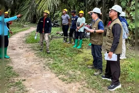 Pengendalian hama terpadu kunci tingkatkan produksi kelapa sawit