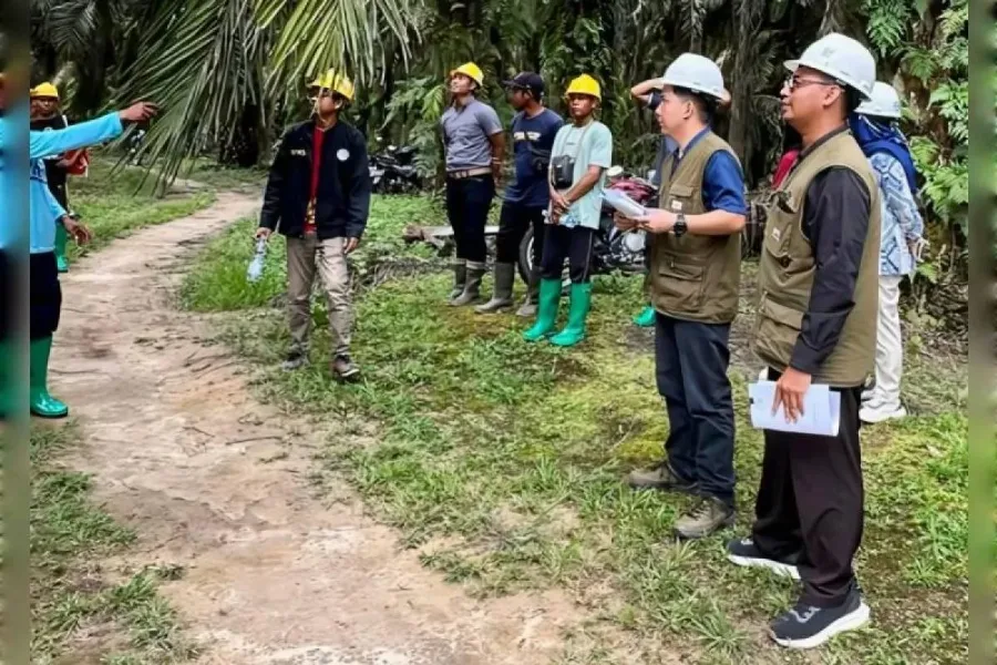 Pengendalian hama terpadu kunci tingkatkan produksi kelapa sawit