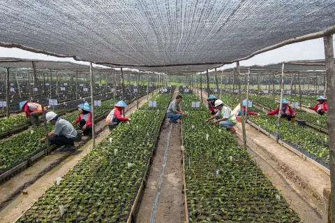 Komisi IV: Sektor Pertanian Tumbuh Positif, Namun Belum Dinikmati Petani Sepenuhnya