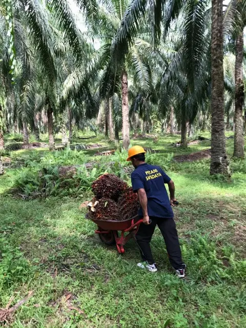 Small Producers, Big Responsibility