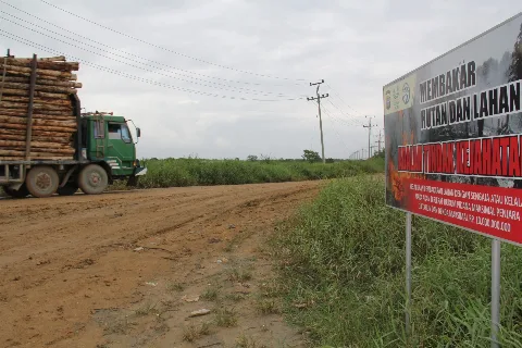 Tren Karhutla Turun, Industri Sawit Tetap Siaga