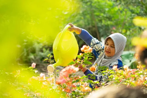 Sri Rahayu, Petani Swadaya Program Musim Mas-IFC: Sawit Menghidupi Keluarga Saya