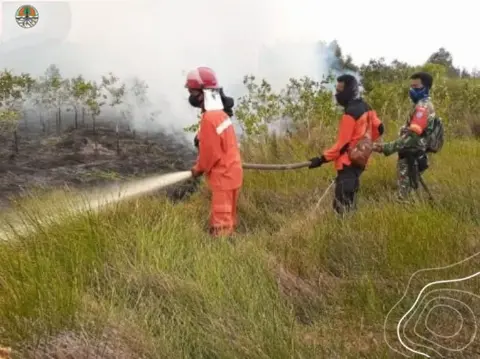 Soal Karhutla, Laporan David Gaveau Diragukan Keabsahannya