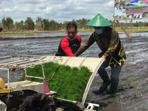 Di Merauke, Stafsus Presiden Billy Mambrasar Sosialisasikan Program Petani Milenial