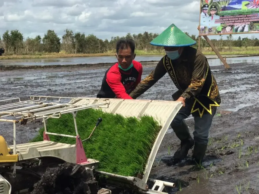 Di Merauke, Stafsus Presiden Billy Mambrasar Sosialisasikan Program Petani Milenial