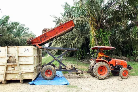 Belajar dari Astra Agro Padukan Mekanisasi dan Digitalisasi