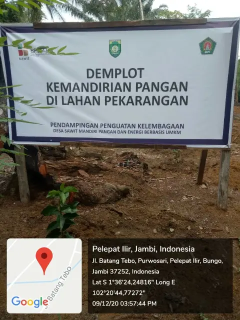 Workshop AKPY-Stiper dan BPDPKS: Petani Sawit Optimis Ikuti Program PSR